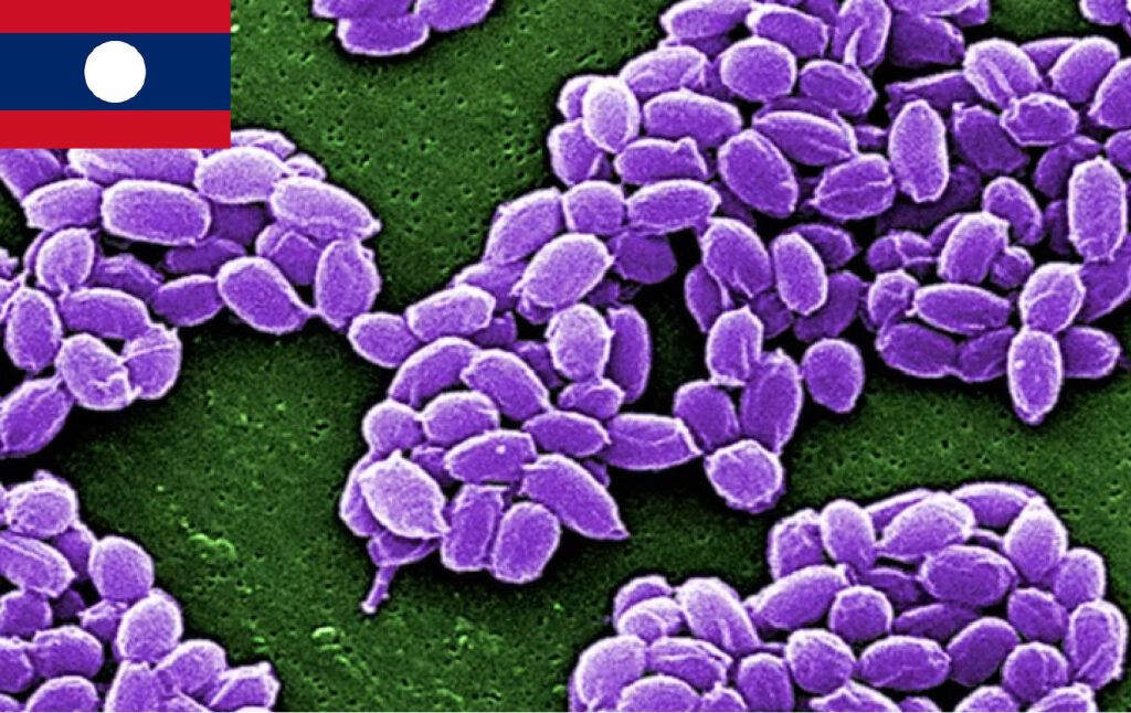 警戒！カンボジアと国境を接するラオスの州で炭疽菌感染52人を確認　